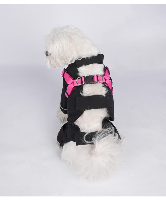 カラーコント ラスト付きパンツ