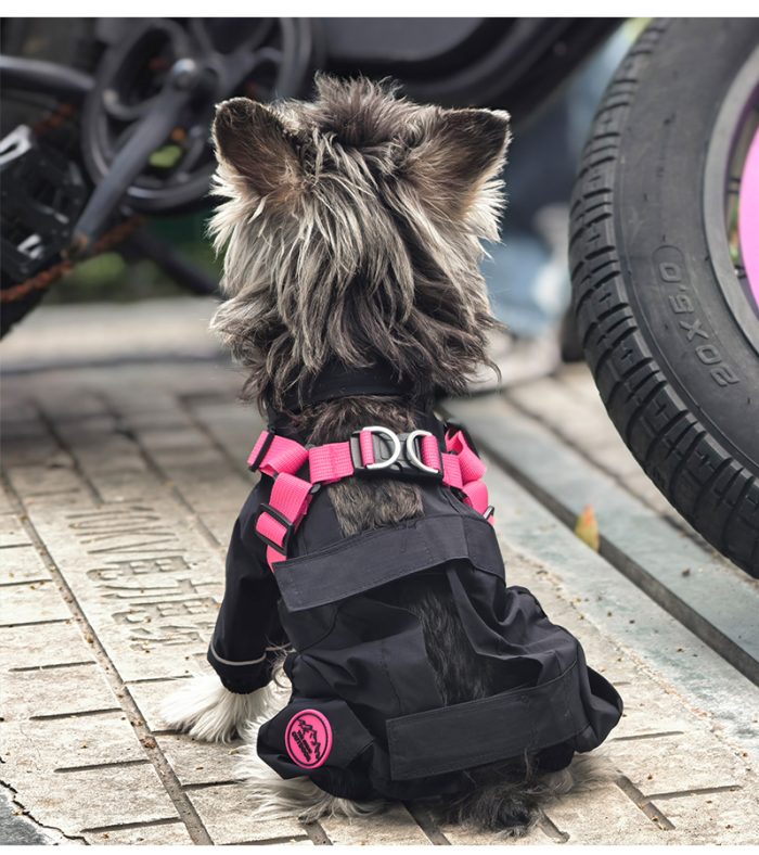 カラーコント ラスト付きパンツ