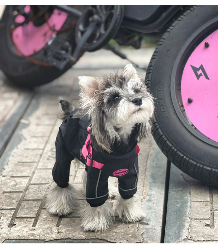 カラーコント ラスト付きパンツ