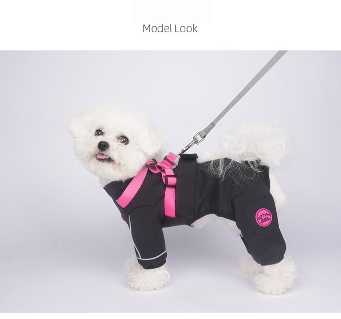 カラーコント ラスト付きパンツ