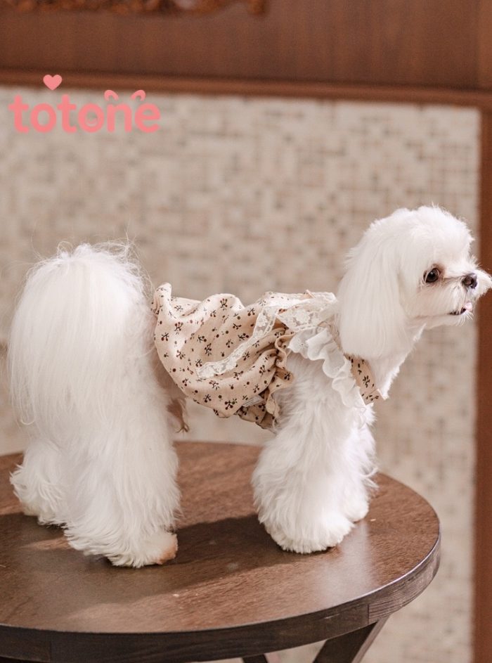 レースリボンワンピース