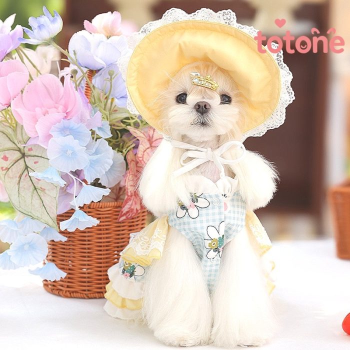 可愛い兎ロリータドレス