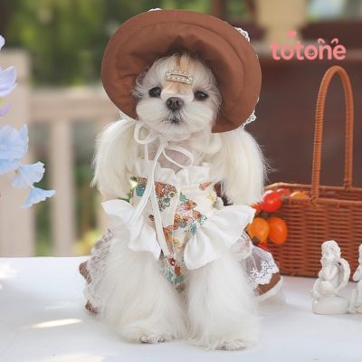 田園風ロリータドレス